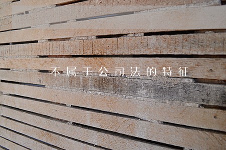 不属于公司法的特征 不属于公司法的特征
