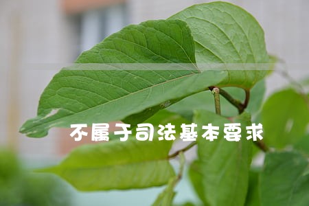 不属于司法基本要求