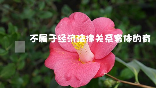 不属于经济法律关系客体的有 不属于经济法律关系客体的有