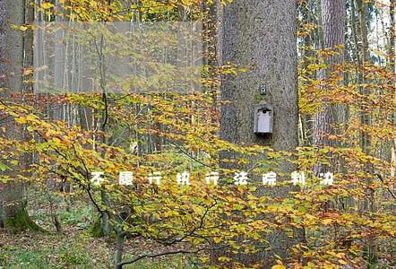 不履行执行法院判决 不履行执行法院判决