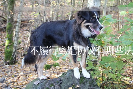不履行离婚协议有哪些法律后果 不履行离婚协议有哪些法律后果