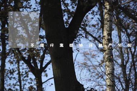 不履行离婚协议财产分配 不履行离婚协议财产分配