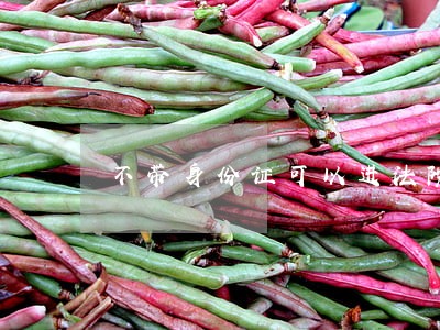 不带身份证可以进法院吗 不带身份证可以进法院吗