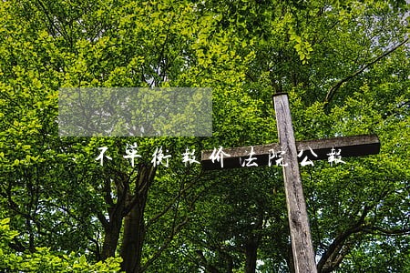 不平衡报价法院公报 不平衡报价法院公报