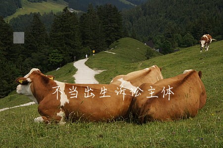 不当出生诉讼主体 不当出生诉讼主体