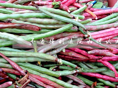 不当得利法院如何认定 不当得利法院如何认定