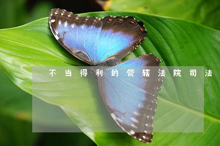 不当得利的管辖法院司法解释
