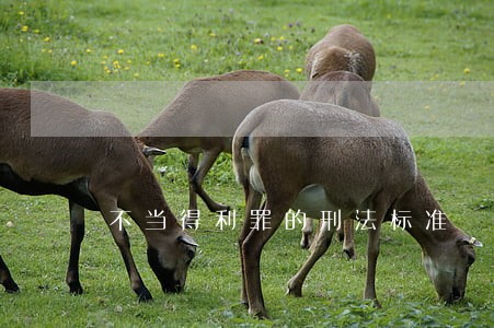 不当得利罪的刑法标准 不当得利罪的刑法标准