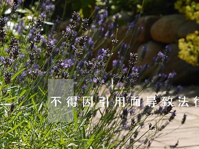 不得因引用而导致法律上 不得因引用而导致法律上