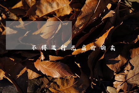 不得进行无底价拍卖