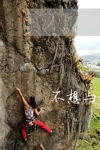 不想与老婆离婚了怎么办 不想与老婆离婚了怎么办
