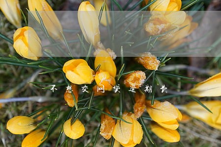 不想交网贷逾期费 不想交网贷逾期费