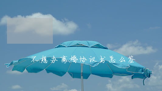 不想办离婚协议书怎么签