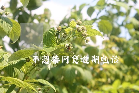 不想接网贷逾期电话 不想接网贷逾期电话