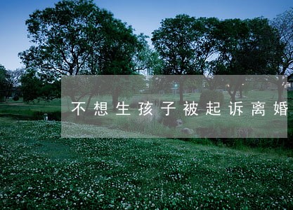 不想生孩子被起诉离婚