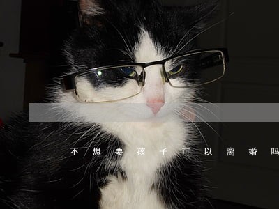 不想要孩子可以离婚吗 不想要孩子可以离婚吗