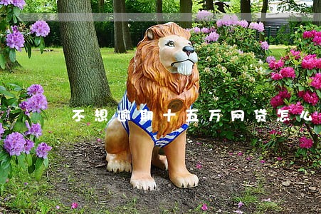 不想逾期十五万网贷怎么还