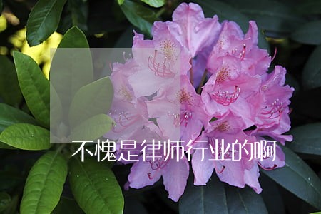 不愧是律师行业的啊 不愧是律师行业的啊