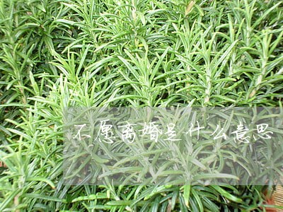 不愿离婚是什么意思 不愿离婚是什么意思