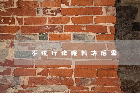 不执行法院判决后果