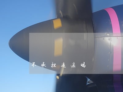 不承担违法吗 不承担违法吗