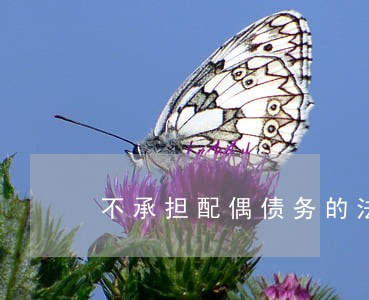 不承担配偶债务的法律条文