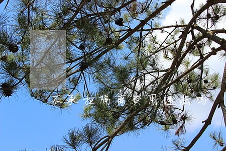 不承担隔离费用违法吗 不承担隔离费用违法吗