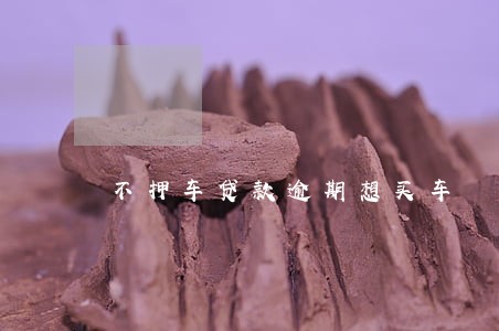 不押车贷款逾期想买车 不押车贷款逾期想买车