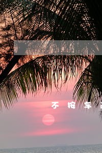 不按车道导向箭头行驶违法 不按车道导向箭头行驶违法