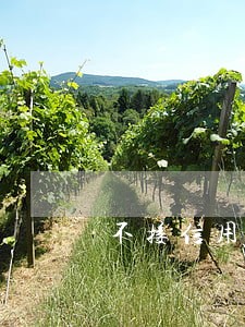 不接信用卡电话逾期 不接信用卡电话逾期