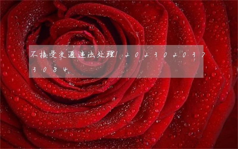 不接受交通违法处理/2023020373084 不接受交通违法处理/2023020373084