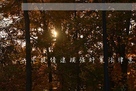 不提请逮捕强奸案法律意见书