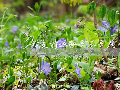 不支持退款是不是属于违法 不支持退款是不是属于违法