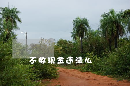 不收现金违法么