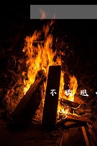 不收现金违法罚什么