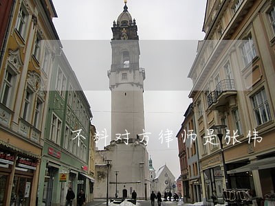 不料对方律师是张伟 不料对方律师是张伟