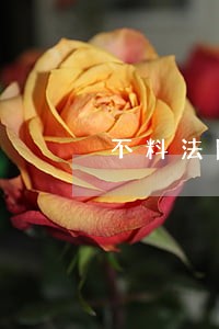 不料法院竟判定佟毓婉无罪释放 不料法院竟判定佟毓婉无罪释放