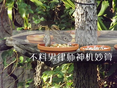 不料男律师神机妙算 不料男律师神机妙算