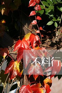 不料行为已触犯了法律 不料行为已触犯了法律