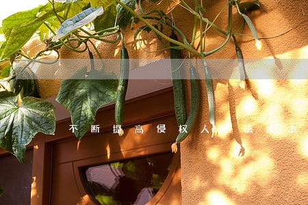 不断提高侵权人违法成本