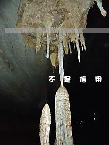 不是信用卡逾期上不上征信