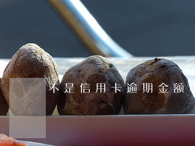 不是信用卡逾期金额小也上征信吗 不是信用卡逾期金额小也上征信吗