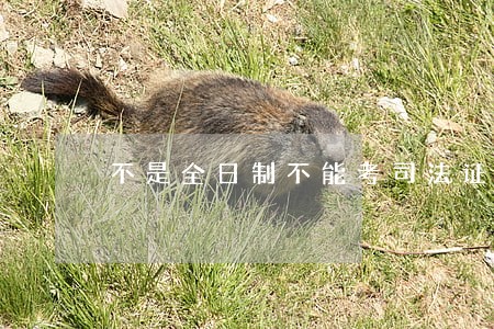不是全日制不能考司法证吗 不是全日制不能考司法证吗