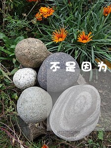 不是因为破产也不是诉讼