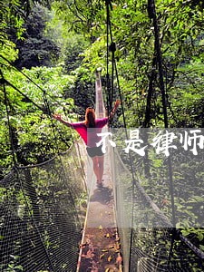 不是律师可以做企业法律