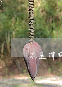 不是律师能不能设立律所 不是律师能不能设立律所