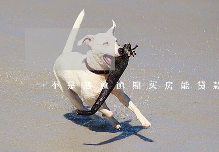 不是恶意逾期买房能贷款吗 不是恶意逾期买房能贷款吗