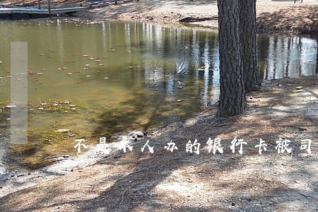 不是本人办的银行卡被司法冻结 不是本人办的银行卡被司法冻结
