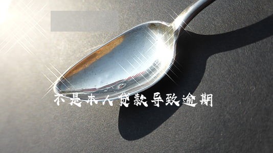 不是本人贷款导致逾期 不是本人贷款导致逾期