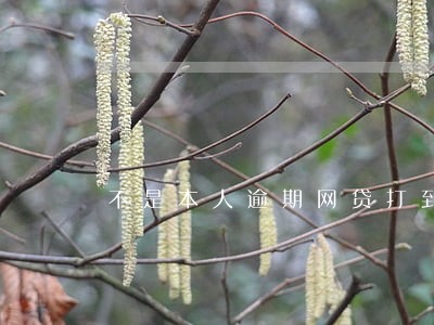 不是本人逾期网贷打到单位 不是本人逾期网贷打到单位